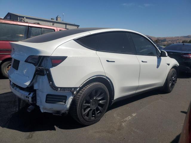 5YJYGDEEXMF217699 - 2021 TESLA MODEL Y Ağ foto 3