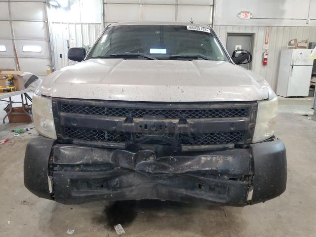 3GCEC13C17G516026 - 2007 CHEVROLET SILVERADO C1500 CREW CAB BEIGE photo 5