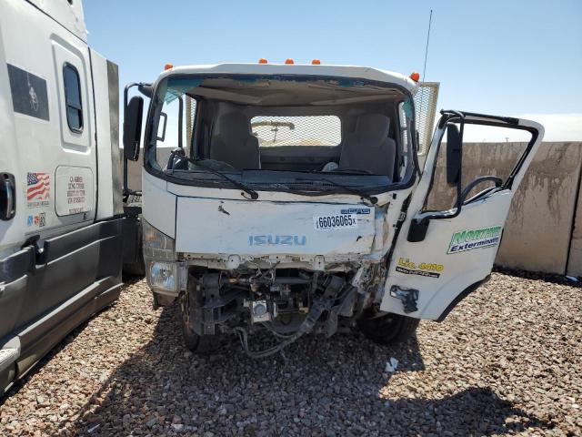 54DC4W1B2KS814027 - 2019 ISUZU NPR HD WHITE photo 5