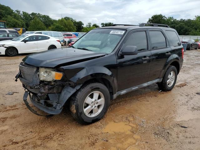 2010 FORD ESCAPE XLT, 