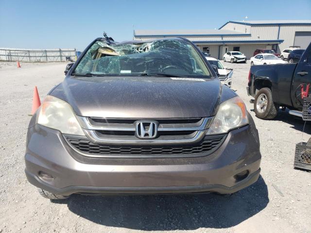 5J6RE4H48BL000668 - 2011 HONDA CR-V SE TAN photo 5