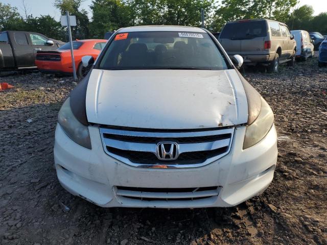 1HGCP3F87CA024013 - 2012 HONDA ACCORD EXL WHITE photo 5
