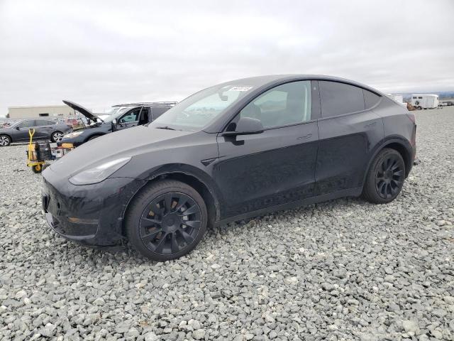 2023 TESLA MODEL Y, 