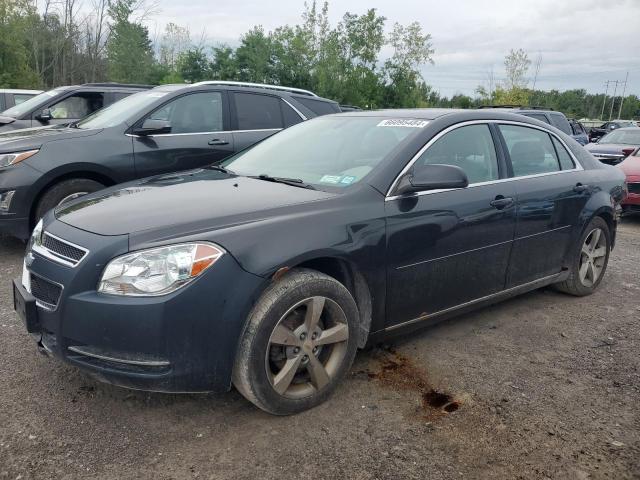 1G1ZC5EU3BF316766 - 2011 CHEVROLET MALIBU 1LT 黑色 照片 1