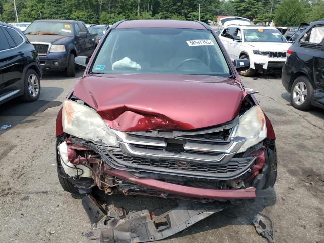 5J6RE4H34AL082646 - 2010 HONDA CR-V LX 栗色 照片 5