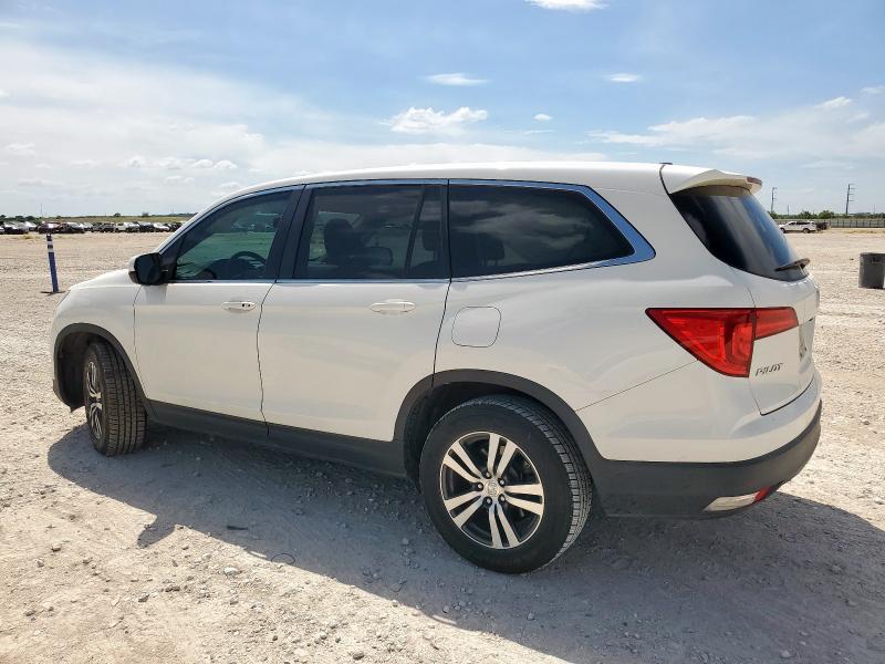 5FNYF5H56JB031304 - 2018 HONDA PILOT EXL თეთრი ფოტო 2