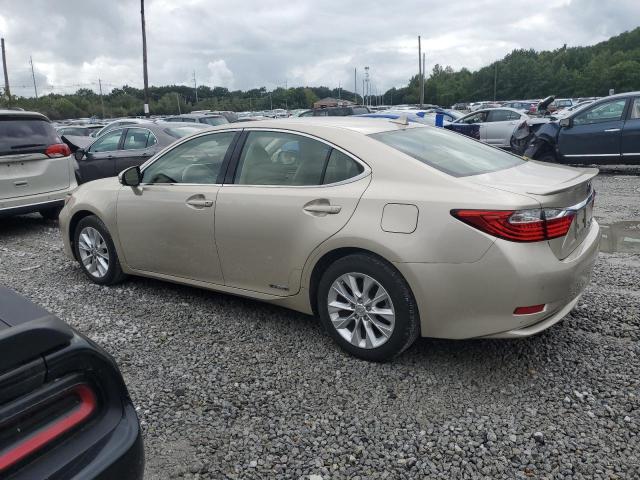 JTHBW1GG5E2066165 - 2014 LEXUS ES 300H GOLD photo 2