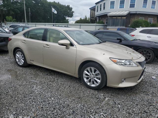 JTHBW1GG5E2066165 - 2014 LEXUS ES 300H GOLD photo 4