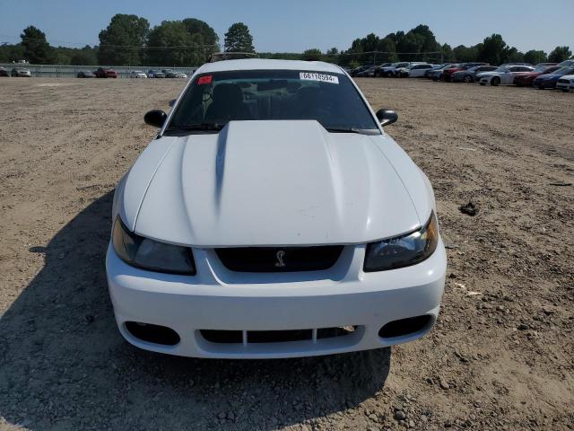 1FAFP47VX1F238683 - 2001 FORD MUSTANG COBRA SVT WHITE photo 5