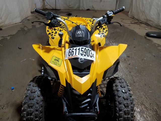 RFGUB2518ES019767 - 2014 CAN-AM DS 250 YELLOW photo 9