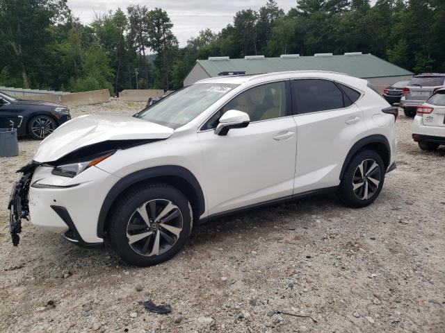 JTJBARBZ4K2184529 - 2019 LEXUS NX 300 BASE Ağ foto 1