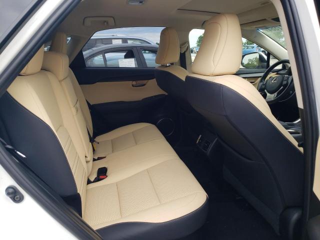 JTJBARBZ4K2184529 - 2019 LEXUS NX 300 BASE Ağ foto 11