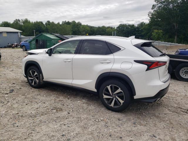 JTJBARBZ4K2184529 - 2019 LEXUS NX 300 BASE Ağ foto 2
