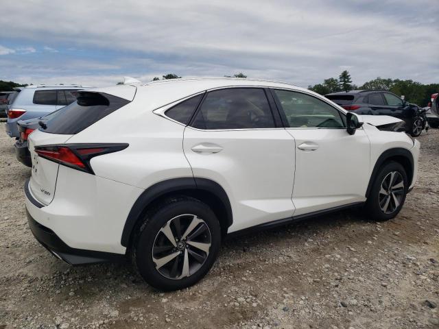 JTJBARBZ4K2184529 - 2019 LEXUS NX 300 BASE Ağ foto 3