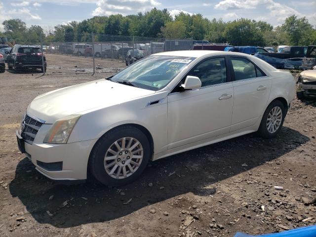 1G6DE5EY6B0118817 - 2011 CADILLAC CTS LUXURY COLLECTION CREAM photo 1
