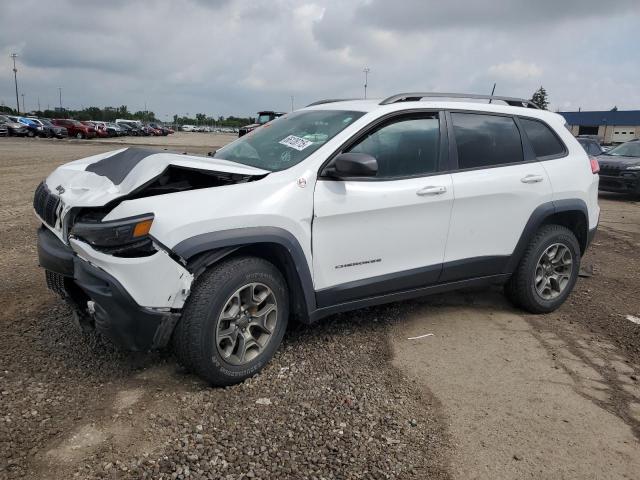 1C4PJMBN8LD540575 - 2020 JEEP CHEROKEE TRAILHAWK WHITE photo 1