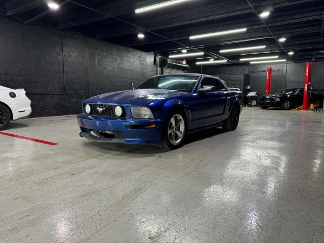 1ZVFT85H275365353 - 2007 FORD MUSTANG GT BLUE photo 2