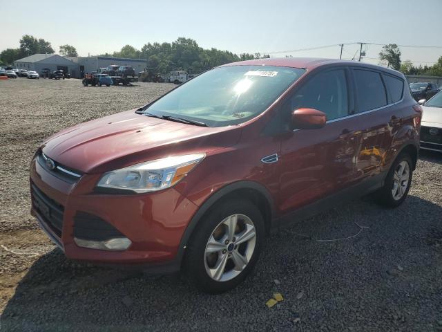 2014 FORD ESCAPE SE, 