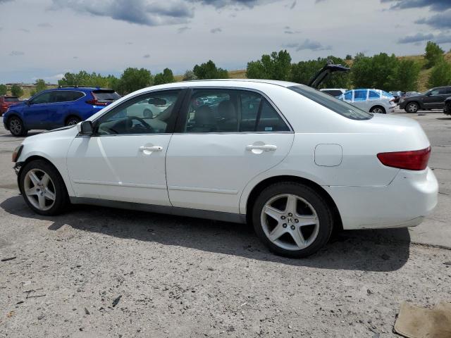 1HGCM56445L004603 - 2005 HONDA ACCORD LX WHITE photo 2