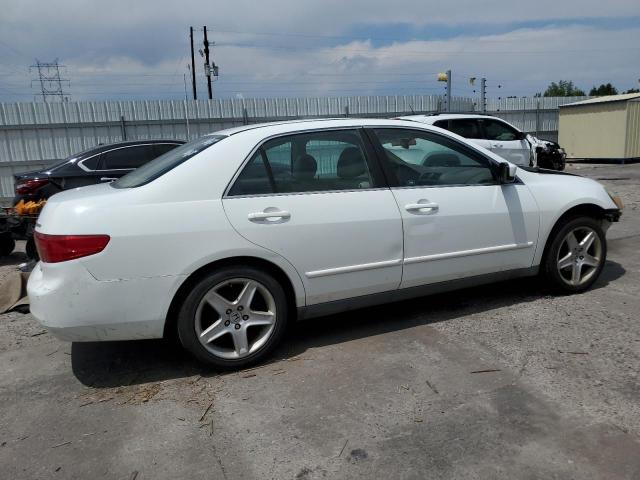 1HGCM56445L004603 - 2005 HONDA ACCORD LX WHITE photo 3