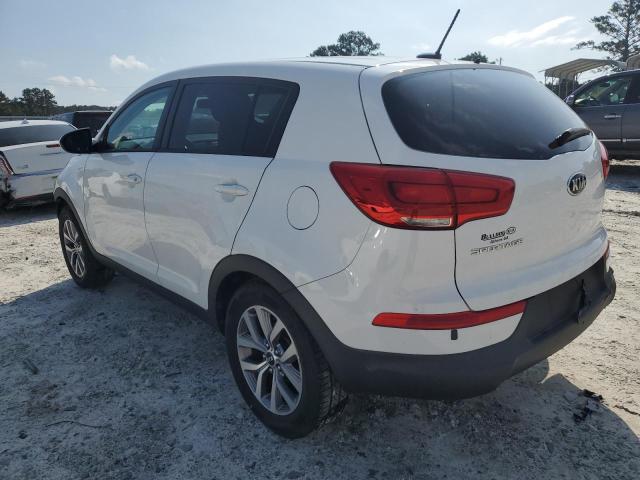 KNDPB3AC4E7562212 - 2014 KIA SPORTAGE BASE WHITE photo 2