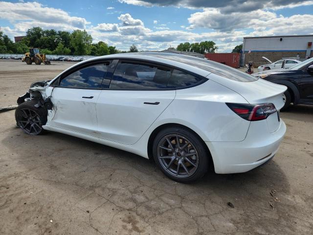 5YJ3E1EB0MF981498 - 2021 TESLA MODEL 3 Ağ foto 2