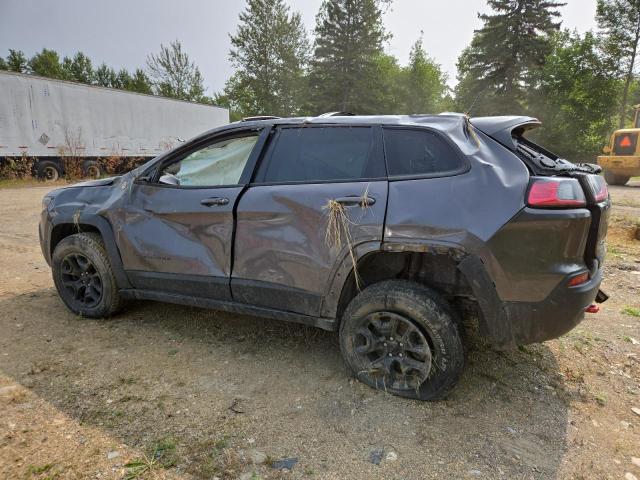 1C4PJMBX7KD367552 - 2019 JEEP CHEROKEE TRAILHAWK GRAY photo 2