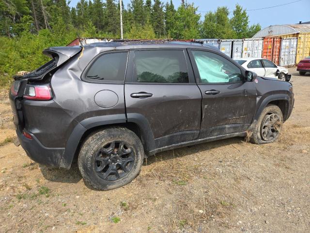 1C4PJMBX7KD367552 - 2019 JEEP CHEROKEE TRAILHAWK GRAY photo 3