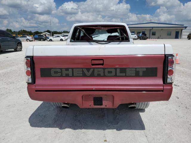 1GCCS19Z0M8285756 - 1991 CHEVROLET S TRUCK S10 TWO TONE photo 10