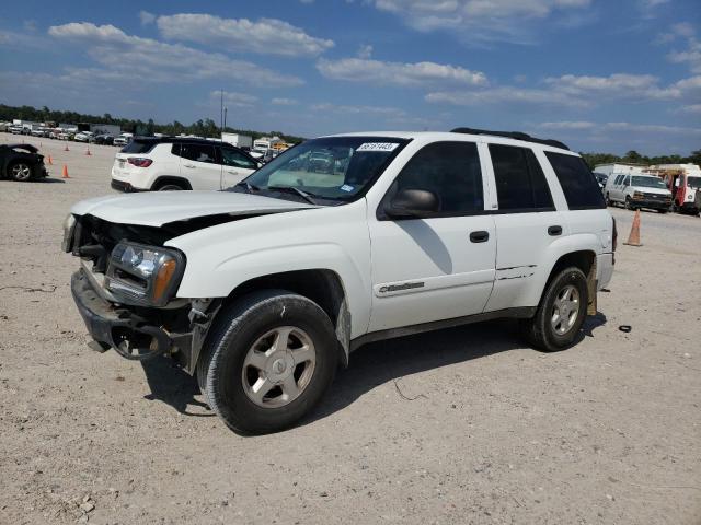 1GNDS13S022387761 - 2002 CHEVROLET TRAILBLAZE WHITE photo 1