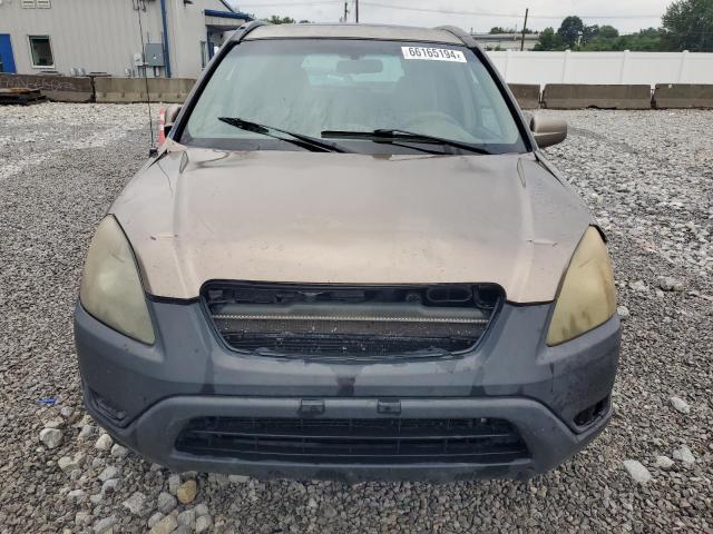 JHLRD78852C088479 - 2002 HONDA CR-V EX TAN photo 5