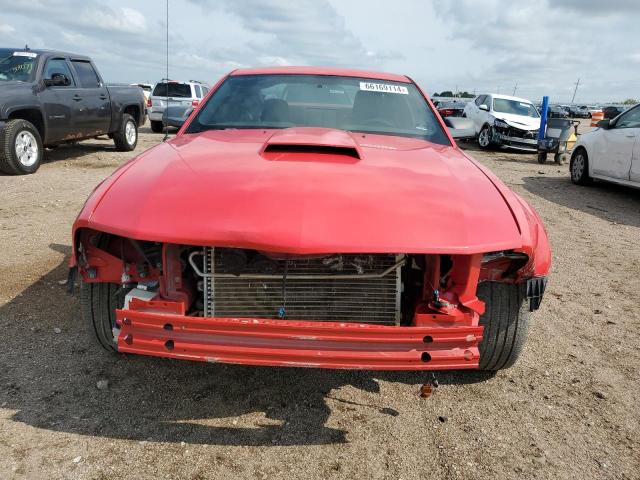 1ZVFT80NX65178163 - 2006 FORD MUSTANG RED photo 5