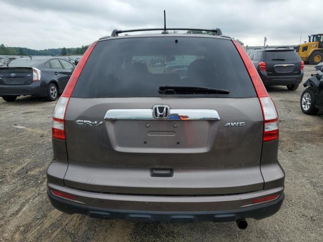 5J6RE4H75AL068936 - 2010 HONDA CR-V EXL BROWN photo 6