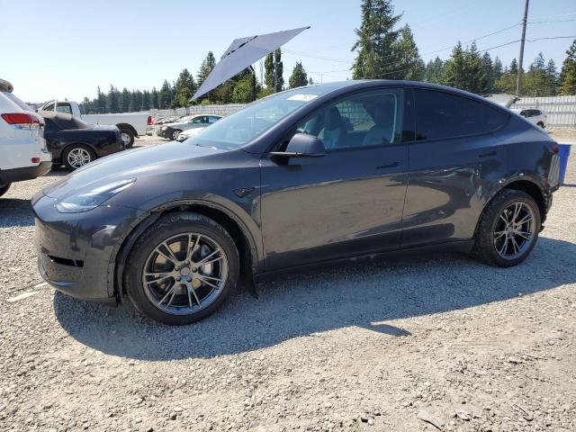 2025 TESLA MODEL Y, null