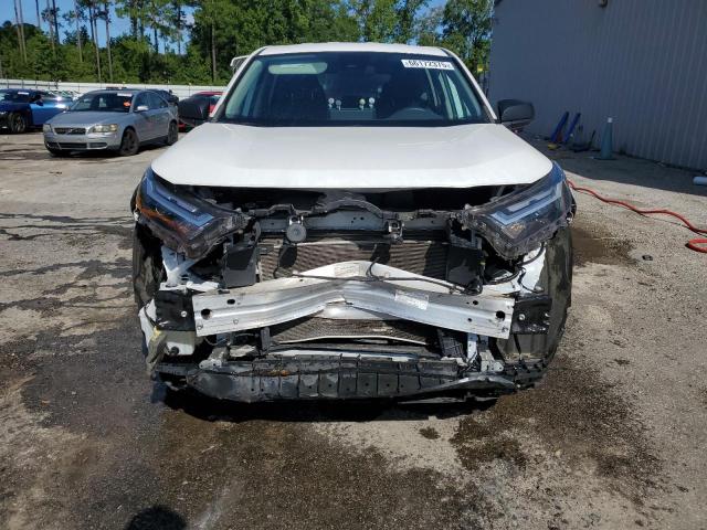 2T3H1RFV3PC229724 - 2023 TOYOTA RAV4 LE 白色 照片 5