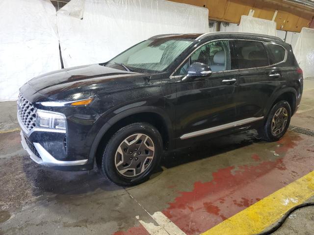 2023 HYUNDAI SANTA FE BLUE, null