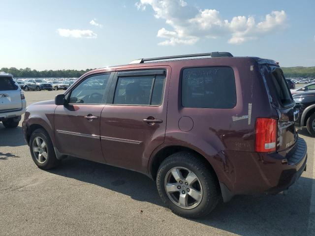 5FNYF48569B013150 - 2009 HONDA PILOT EXL Bordo foto 2