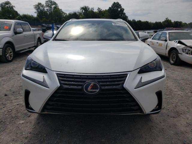 JTJGJRDZ2L2145121 - 2020 LEXUS NX 300H WHITE photo 5