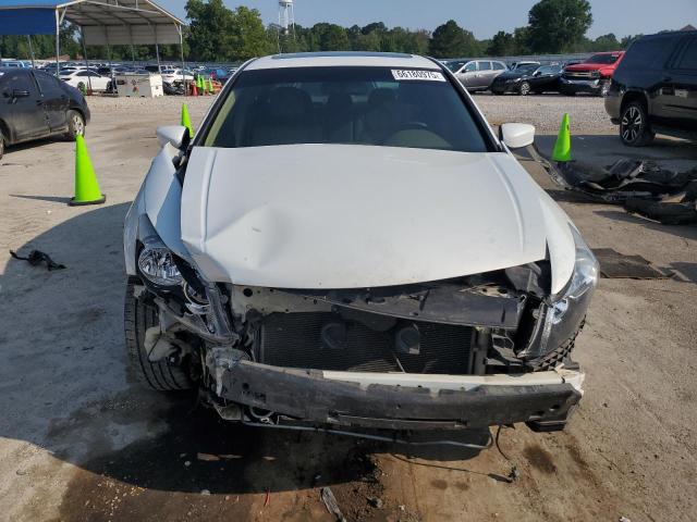 1HGCP36839A036748 - 2009 HONDA ACCORD EXL WHITE photo 5
