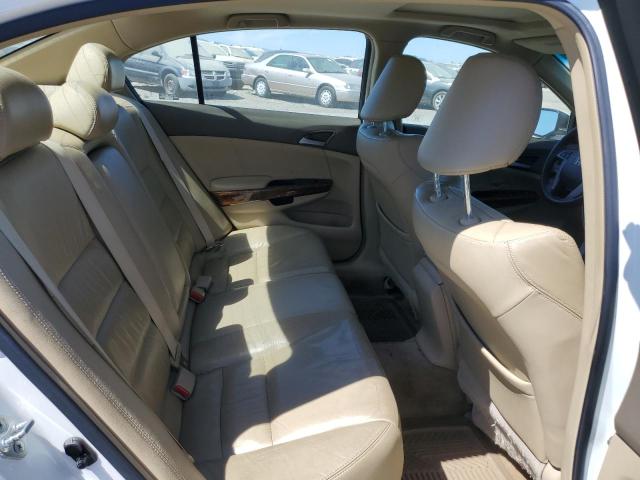 1HGCP368X8A051021 - 2008 HONDA ACCORD EXL WHITE photo 10