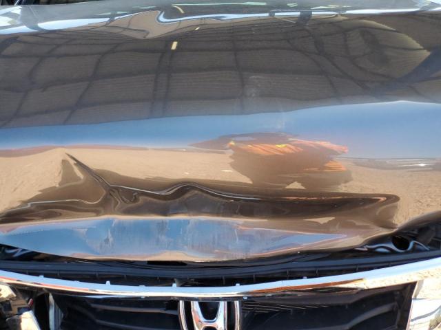 JHMCP26808C054358 - 2008 HONDA ACCORD EXL 灰色 照片 11