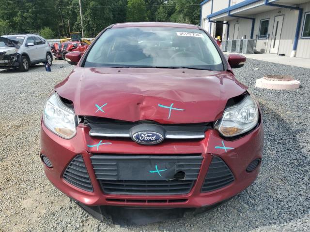 1FADP3K29DL243412 - 2013 FORD FOCUS SE RED photo 5