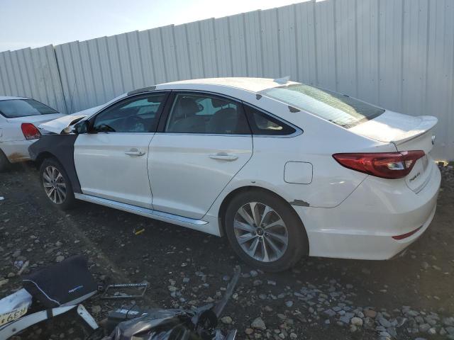 5NPE34AF3HH455947 - 2017 HYUNDAI SONATA SPORT 白色 照片 2