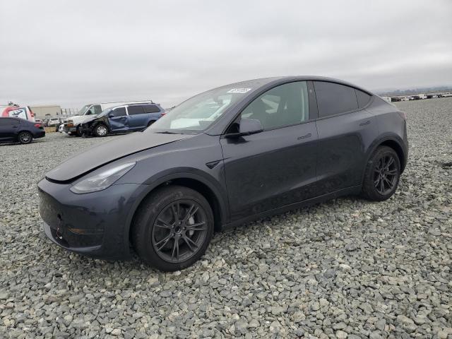 2025 TESLA MODEL Y, 