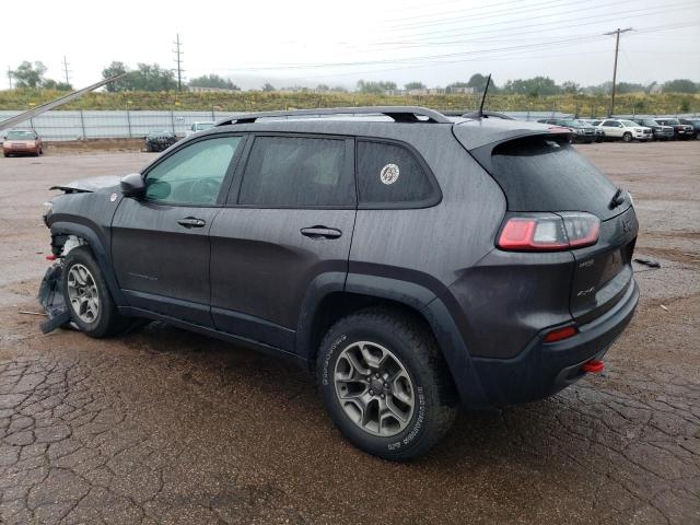 1C4PJMBNXLD519209 - 2020 JEEP CHEROKEE TRAILHAWK 灰色 照片 2
