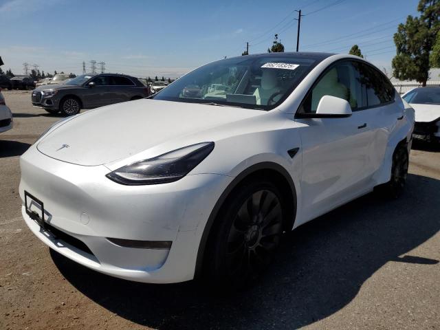 2023 TESLA MODEL Y, 
