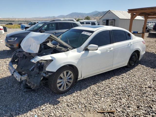 2011 HONDA ACCORD EXL, 