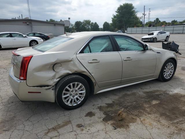 1G6DG5E50D0166770 - 2013 CADILLAC CTS LUXURY COLLECTION CREAM photo 3