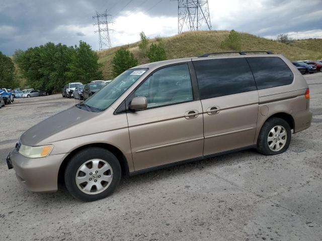2004 HONDA ODYSSEY EXL, 
