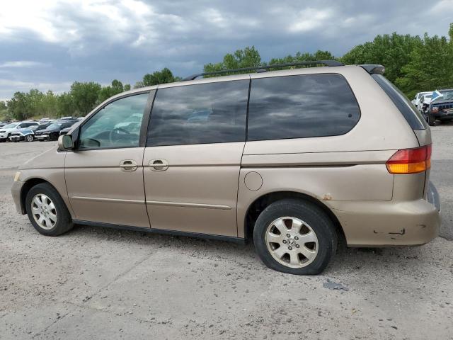 5FNRL18954B056689 - 2004 HONDA ODYSSEY EXL თაფლისფერი ფოტო 2